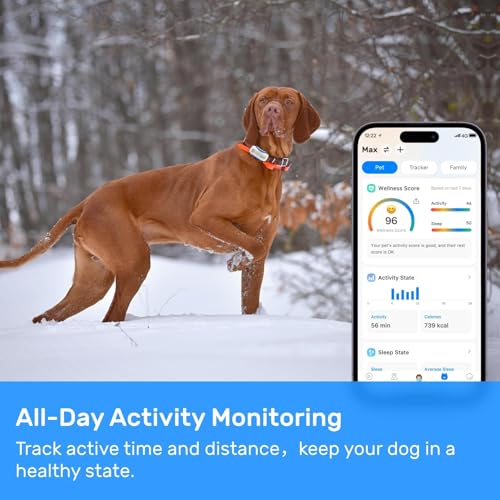 Dog GPS Tracker Waterproof Real-Time Location for Dogs 40 lbs+ (White) X621