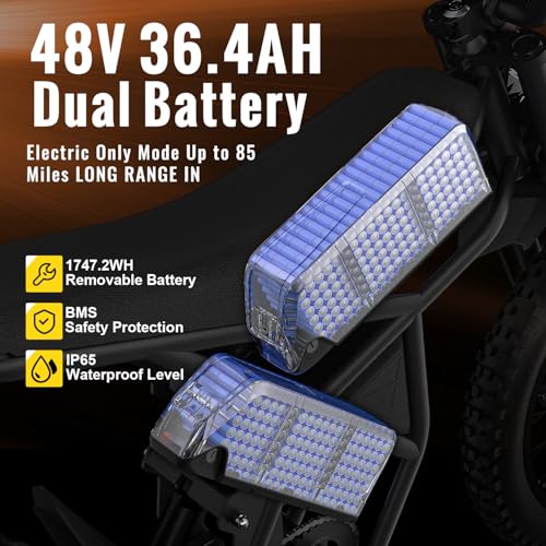 GT73PRO/GT73 Electric Dirt Bike for Adults, 3000W 60V 50MPH, Dual Battery 85 Miles Z405