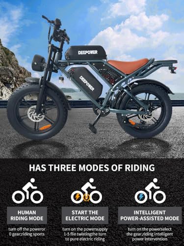 Electric Bike for Adults 1500W Peak 20" Fat Tire EBike G15512