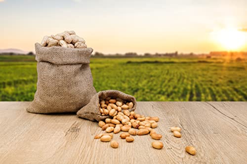 Fruidles Raw Peanuts in Shell, 25 Pound Bag C956862