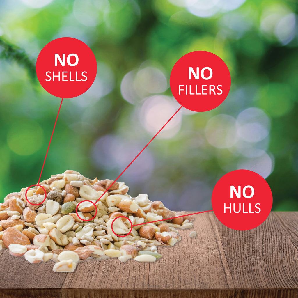 Lyric Delite Wild Bird Seed, No Waste Shell-Free Nuts & Seeds, 20 lb. Bag Q803048