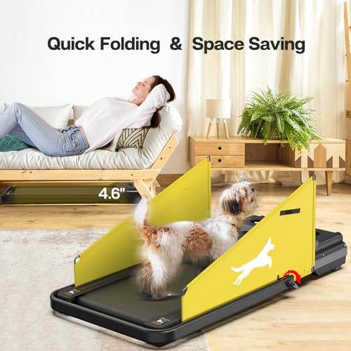 Dog Treadmill for Small & Medium Dogs with LCD Display K4230