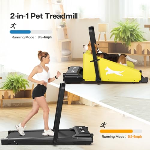 Dog Treadmill for Small & Medium Dogs with LCD Display K4230
