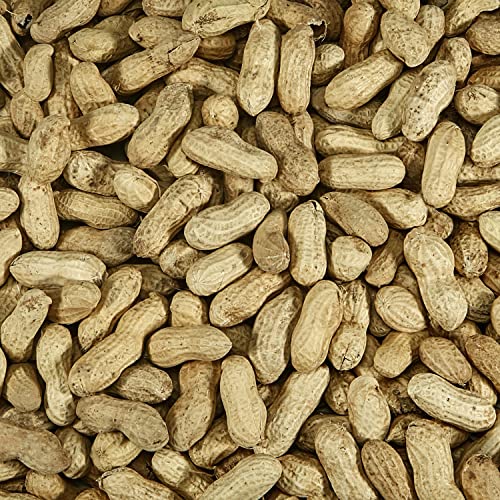 Kaytee Peanuts in Shell for Wild Birds, 10 Pound Bag T22528
