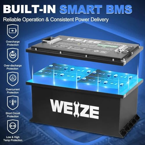 Weize 12V 100Ah LiFePO4 Lithium Battery with Smart BMS D8810