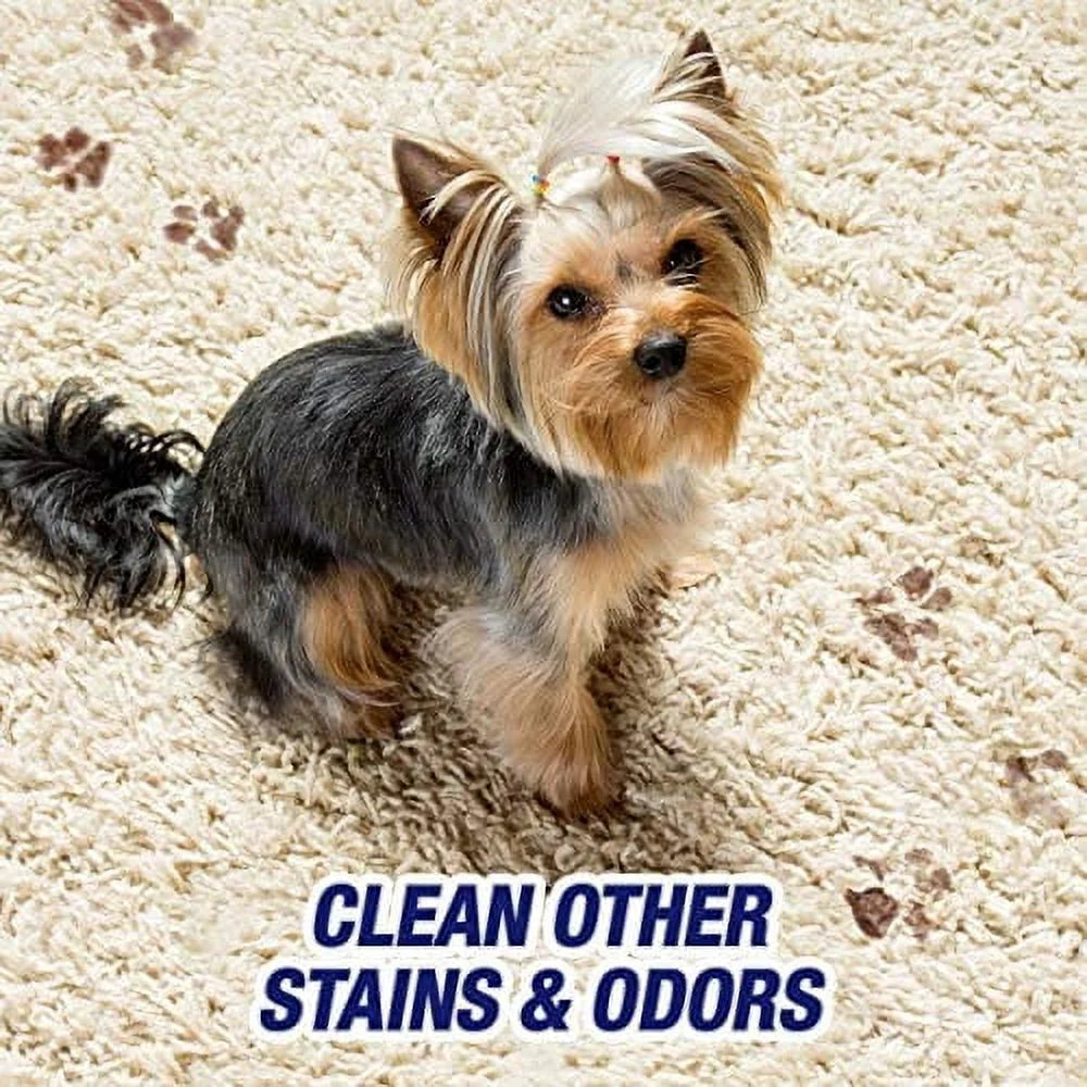 Resolve Urine Destroyer Pet Stain & Odor Remover Spray, 32oz (Pack of 2) H2558