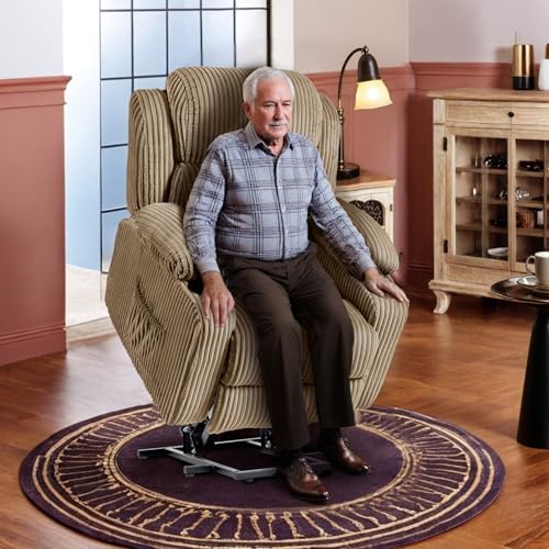 FLEXISPOT XL31 Power Lift Recliner Chair for Elderly, Electric Massage & Heat, PU Leather, Black C786106