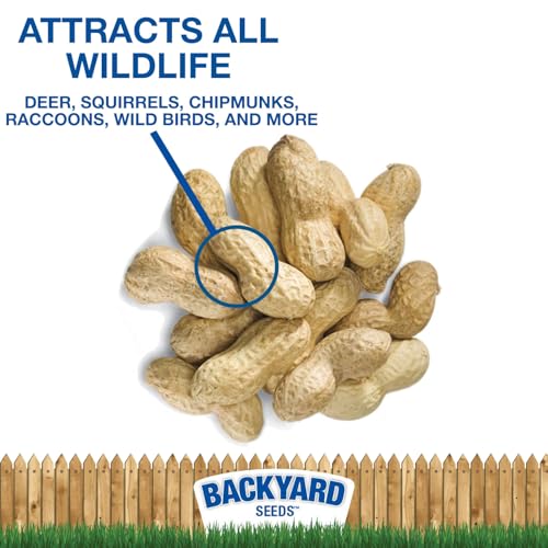 CountryMax Backyard Seeds Peanuts in Shell for Birds & Wildlife, 5 LB Bag A76637