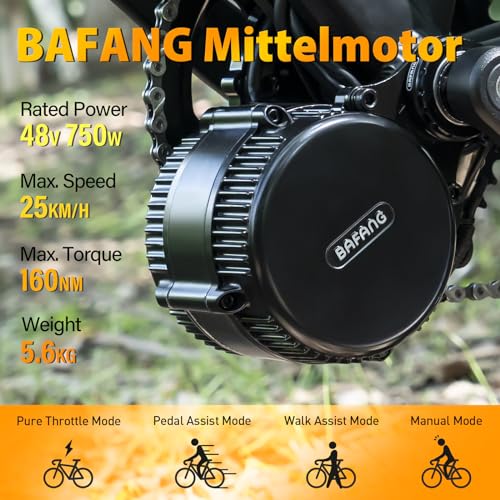 Bafang BBS-HD 48V 1000W Mid Drive Motor Conversion Kit T385