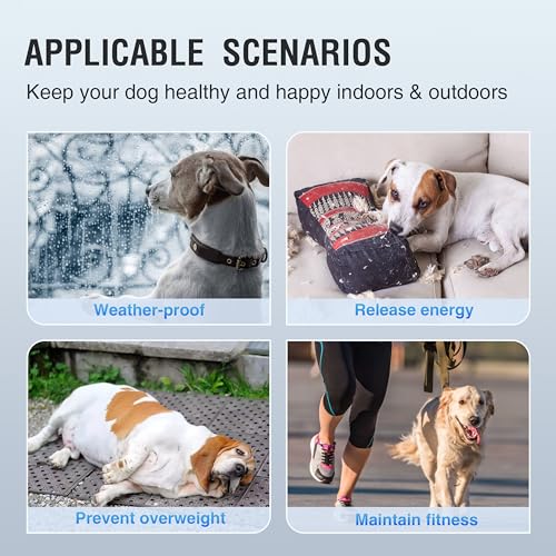 Dog Treadmill for Large Medium Dogs with Adjustable Ramp and Pedometer C2006