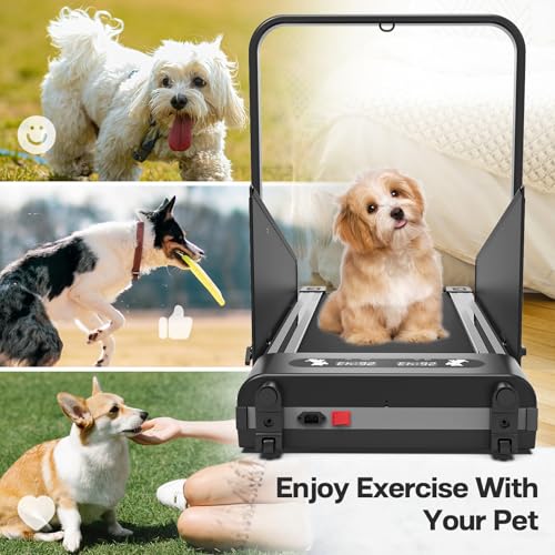 Dog Treadmill for Small Medium Dogs, Exercise Equipment up to 220lbs L193