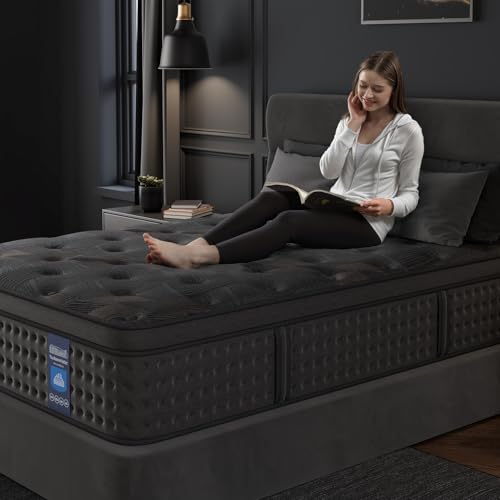 Queen Mattress 10 Inch Hybrid with Memory Foam and Pocket Spring U988