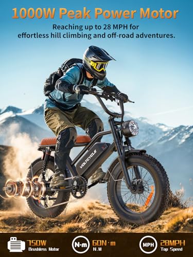 Electric Bike for Adults 48V 500W 20" Fat Tire Full Suspension E-Bike C254