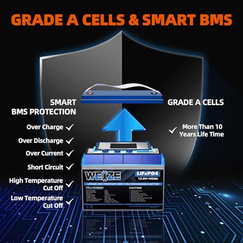 Weize 12V 100Ah LiFePO4 Lithium Battery with Smart BMS D8810