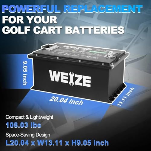 Weize 12V 100Ah LiFePO4 Lithium Battery with Smart BMS D8810