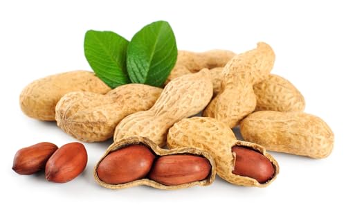 Fruidles Raw Peanuts in Shell, 25 Pound Bag C956862