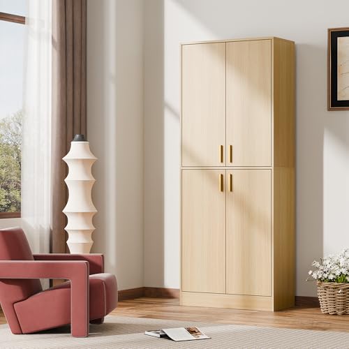 Cozy Castle 71" Tall Kitchen Pantry Cabinet with Doors and Shelves, Gray R70739