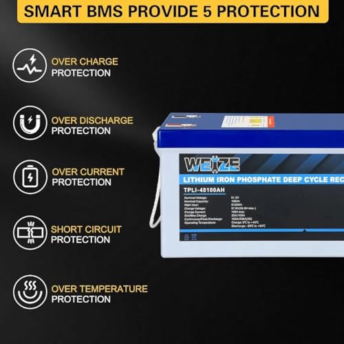 Weize 12V 100Ah LiFePO4 Lithium Battery with Smart BMS D8810