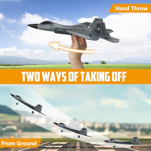 HAWK'S WORK 2 CH RC Airplane F-22 Ready to Fly 2.4GHz A3792