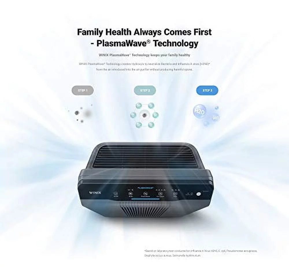 Winix 5300-2 Air Purifier with True HEPA and Carbon Filter, Gray Y335752