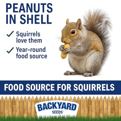 CountryMax Backyard Seeds Peanuts in Shell for Birds & Wildlife, 5 LB Bag A76637