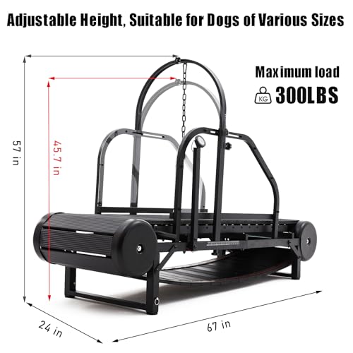 Dog Treadmill for Dogs with Step Counter, Adjustable Incline & Brake, Supports Up to 300 lbs U561