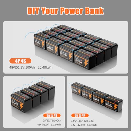 12V 25Ah LiFePO4 Battery with Built-in 20A BMS Q9551