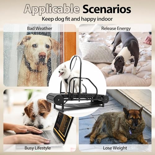 Dog Treadmill for Dogs with Step Counter, Adjustable Incline & Brake, Supports Up to 300 lbs U561