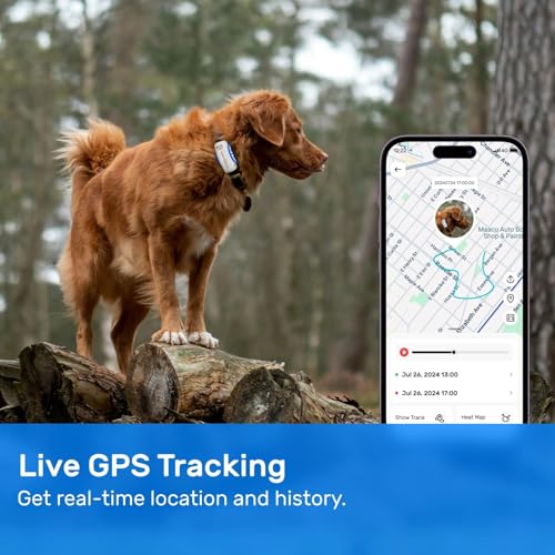 Dog GPS Tracker Waterproof Real-Time Location for Dogs 40 lbs+ (White) X621
