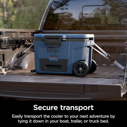 Ninja FrostVault 45QT Cooler with Wheels, Lakeshore Blue M1144