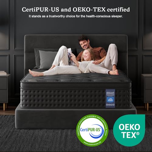 Queen Mattress 10 Inch Hybrid with Memory Foam and Pocket Spring U988