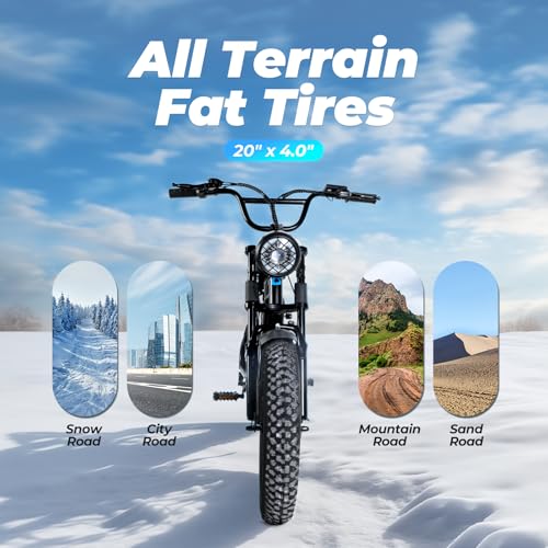 Fat Tire Electric Bike for Adults 1500W 48V 20x4" All Terrain W487