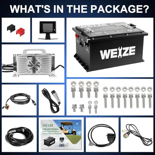 Weize 12V 100Ah LiFePO4 Lithium Battery with Smart BMS D8810