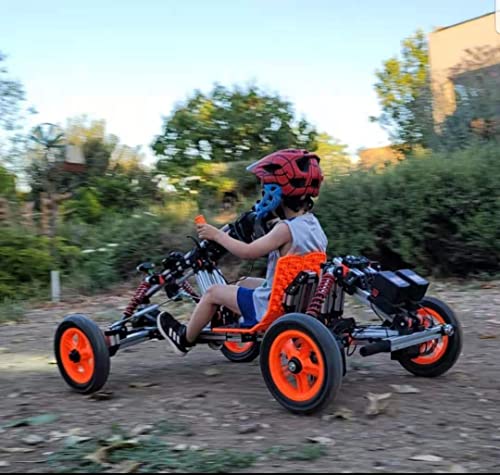Electric Go Kart for Kids Ages 5-18, 800W Brushless Motor, Battery Powered Ride-On D921