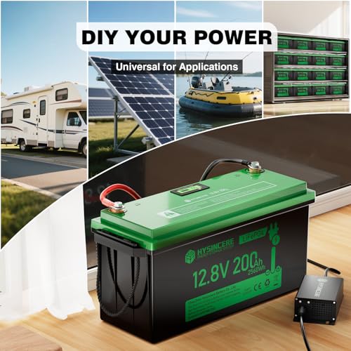 12V 100Ah LiFePO4 Lithium Battery with 100A BMS U8311