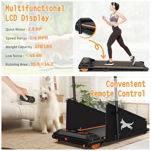 Dog Treadmill for Small & Medium Dogs with LCD Display K4230