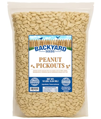 CountryMax Backyard Seeds Shelled Whole Peanuts for Birds & Wildlife, 10 lbs Bag H28185