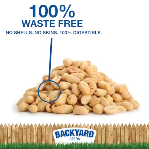 CountryMax Backyard Seeds Shelled Whole Peanuts for Birds & Wildlife, 10 lbs Bag H28185