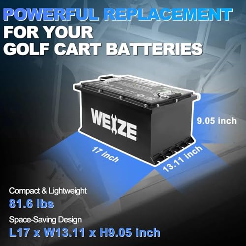 Weize 12V 100Ah LiFePO4 Lithium Battery with Smart BMS D8810