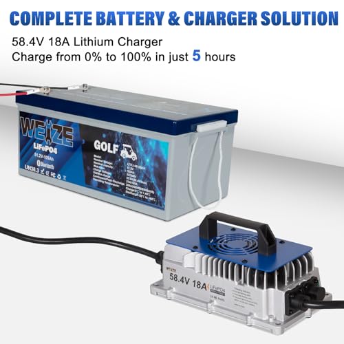 Weize 12V 100Ah LiFePO4 Lithium Battery with Smart BMS D8810