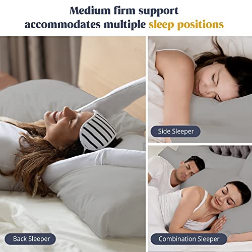 puredown® Goose Feathers and Down White Pillows King Size Set of 2 G471477