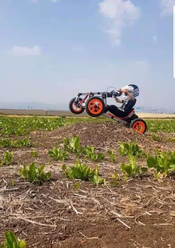 Electric Go Kart for Kids Ages 5-18, 800W Brushless Motor, Battery Powered Ride-On D921