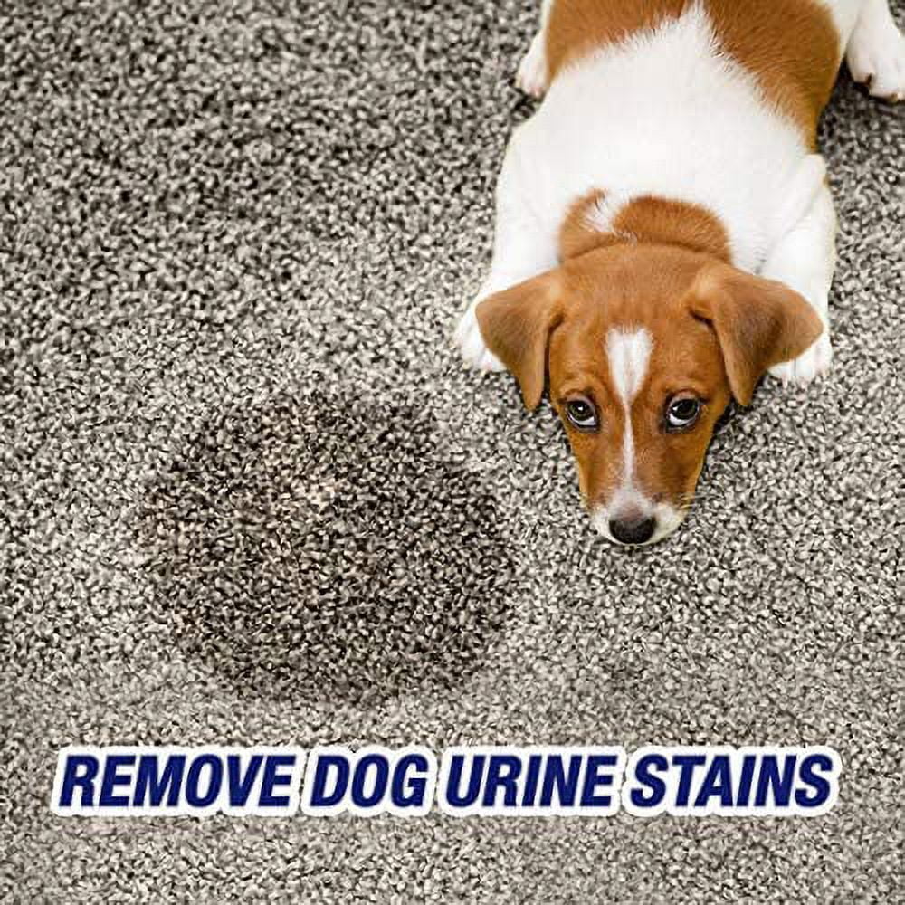 Resolve Urine Destroyer Pet Stain & Odor Remover Spray, 32oz (Pack of 2) H2558