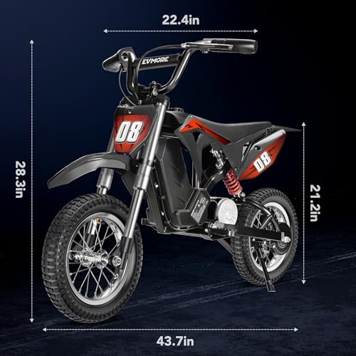 Kids Electric Dirt Bike 36V 350W, 16 MPH, Ages 5-8 C762