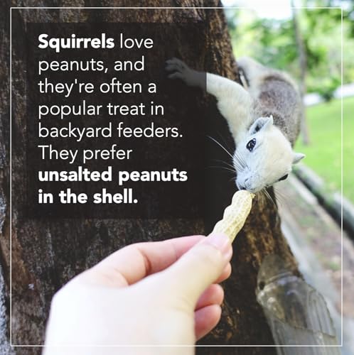 Wildlife Feed Raw Peanuts 50 LBS in-Shell for Squirrels Birds Deer Q98823