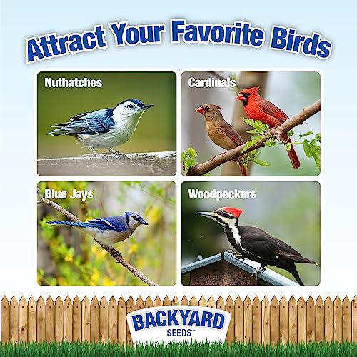 Backyard Seeds Shelled Peanut Pickouts – 25 lb Bag for Wild Birds & Wildlife O86894