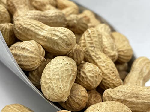 Raw Peanuts in Shell for Animal Feed, 10LB F20573