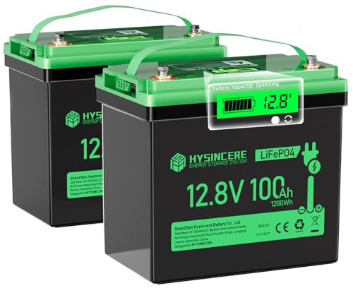 12V 100Ah LiFePO4 Lithium Battery, Mini Deep Cycle Rechargeable LiFePO4 Battery, Max.15000 Cycles Built in 100A BMS for RV, Trolling Motor, Camping, Marine, Solar, Home Energy Storage(1 Pack)