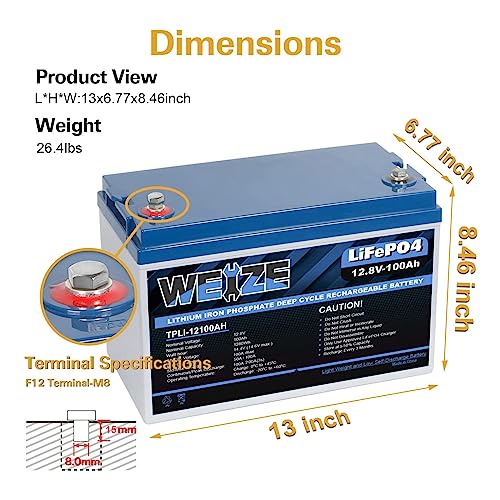 Weize 12V 100Ah LiFePO4 Lithium Battery with Smart BMS D8810