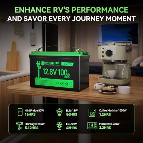 12V 100Ah LiFePO4 Lithium Battery with 100A BMS U8311